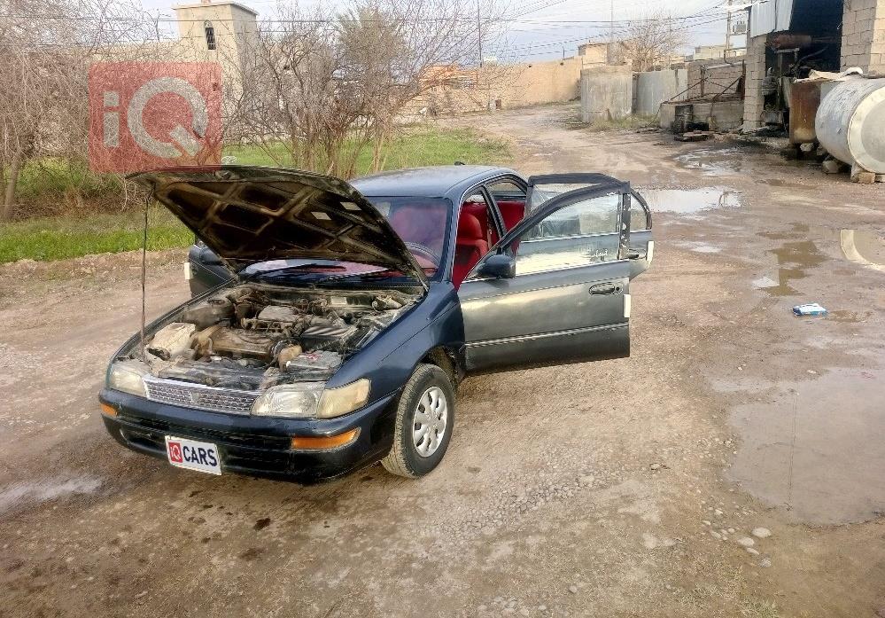 تويوتا كورولا